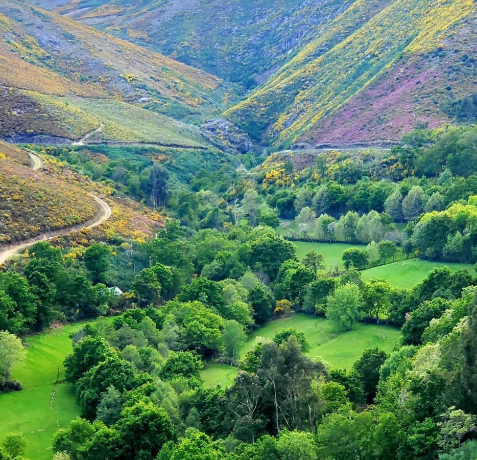 Casa Da Torre - Paraiso No Norte De Portugal Cabeceiras de Basto Zewnętrze zdjęcie